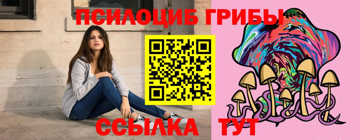 Псилоцибиновые грибы Cubensis Оренбург